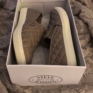 Steve Madden ecentrcq sneaker